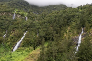 parc national de la reunion